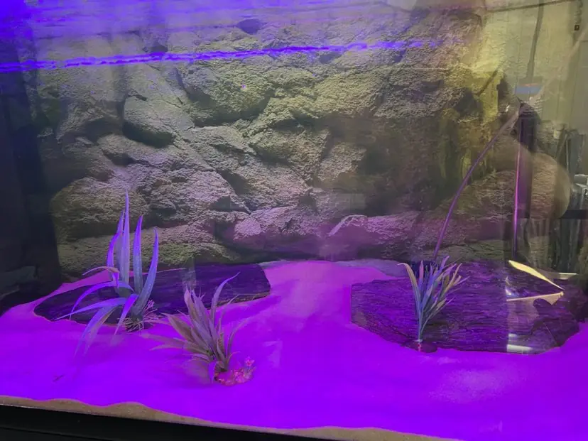 Aqualight RGB LED lys (16 farver)
