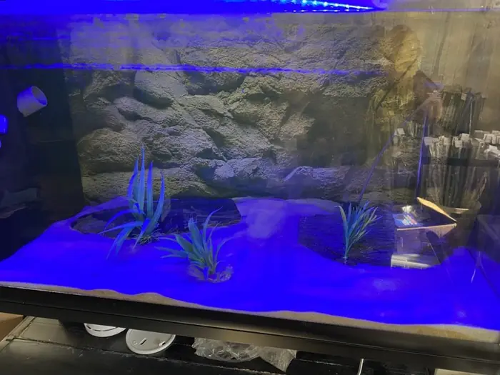 Akvarium med blåt RGB lys