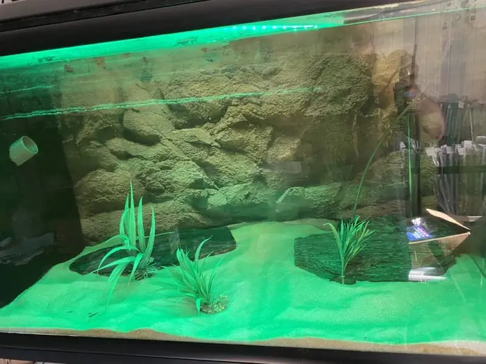 Akvarium med grønt RGB lys
