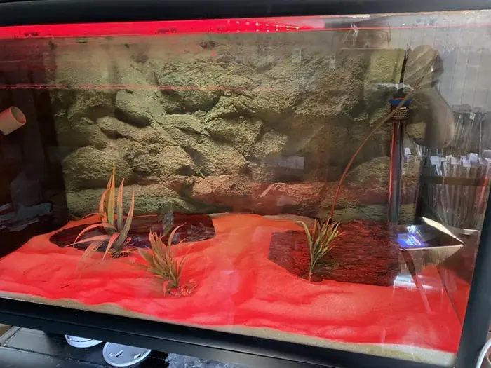 Akvarium med rødt RGB lys
